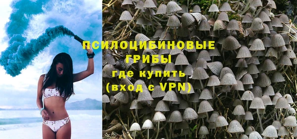 Альфа ПВП Алзамай