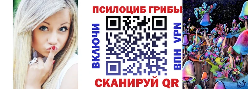 kraken сайт  Михайловск  Галлюциногенные грибы MAGIC MUSHROOMS 